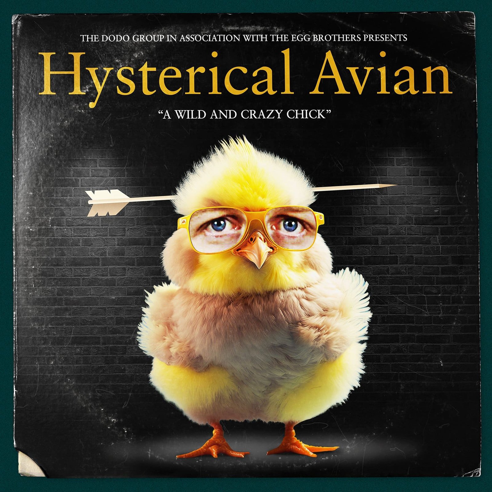 2023-01-26-HYSTERICAL-AVIAN-ALBUM-WEBSITE